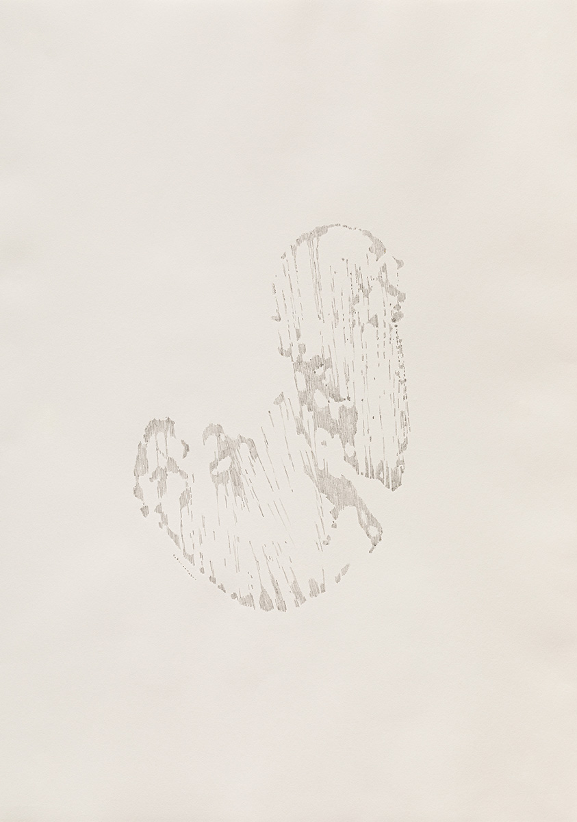 08_Wanderungen VIII_pencil on paper_42 x 30 cm_2021